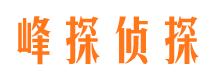 双塔市场调查